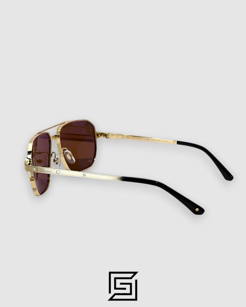 CT0424S - 003 Gold Frame Brown Lenses
