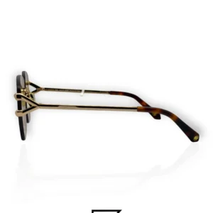 Sunglasses,Women Roberto Cavalli sunglasses SRC022 594G/GOLD X BROWN Roberto Cavalli