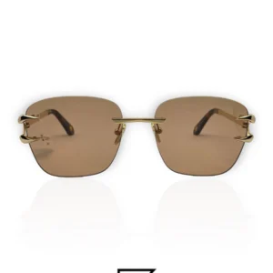 Sunglasses,Women Roberto Cavalli sunglasses SRC022 594G/GOLD X BROWN Roberto Cavalli