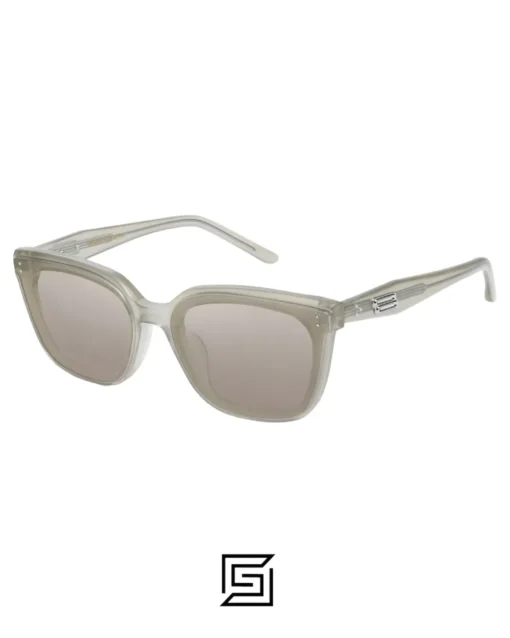 Men,Sunglasses,Women Gentle Monster sunglasses Tote GC10 TRANC - BROWN Gentle Monster