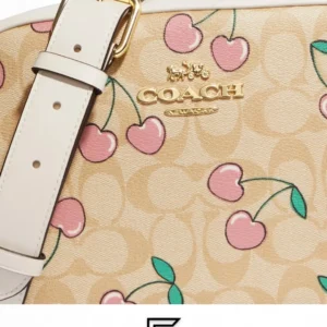 Bags,Leather,Women Coach leather Jamie Camera Bag In Signature Canvas With Heart Cherry Print Style No. CF423 Coach