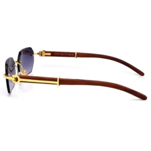Men,Sunglasses Cartier sunglasses S31807 C56 Cartier