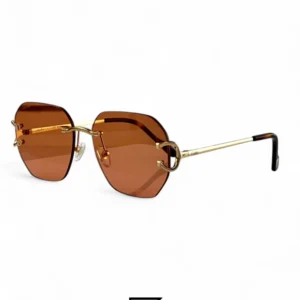 Men,Sunglasses sunglasses CARTIER CT0396 006/GOLD X HONEY Cartier