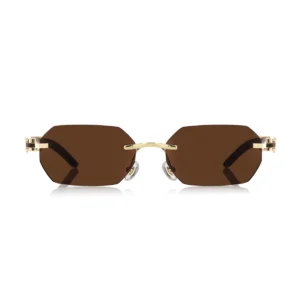 Men,Sunglasses Cartier sunglasses S31807 C54/GOLD X BROWN Cartier
