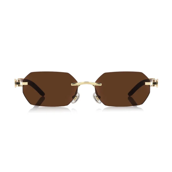 Men,Sunglasses Cartier sunglasses S31807 C54/GOLD X BROWN Cartier