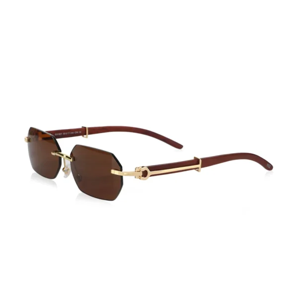 Men,Sunglasses Cartier sunglasses S31807 C54/GOLD X BROWN Cartier