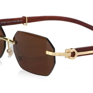 Men,Sunglasses Cartier sunglasses S31807 C54/GOLD X BROWN Cartier