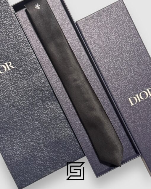 Ties Dior - Black Color With CD Bee Logo Dior