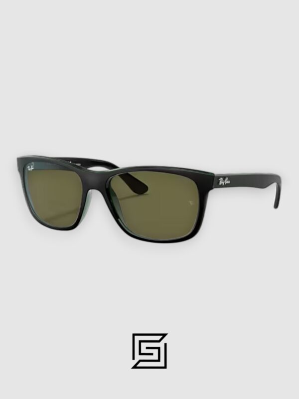Ray Ban RB4181 Polarized Sunglasses Unisex