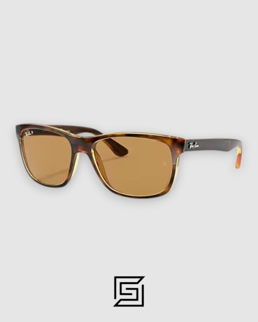 Alternative view of Ray Ban RB4181 Polarized Sunglasses Unisex