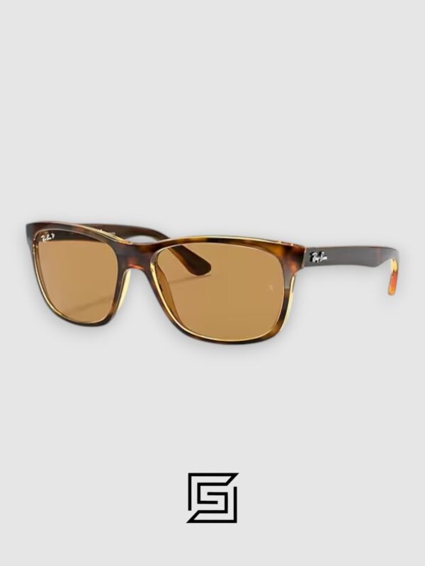 Ray Ban RB4181 Polarized Sunglasses Unisex