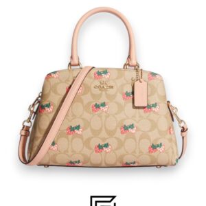 Bags,Leather,Women Mini Lillie Carryall In Signature Canvas With Strawberry Print Style No. CB598 Coach