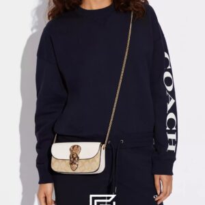 Bags,Leather,Women Kleo Crossbody In Blocked Signature Canvas CA441 Coach