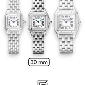 Cartier Santos Stainless Steel White Dial – Japanese Automatic Movement (30mm) - Image 4