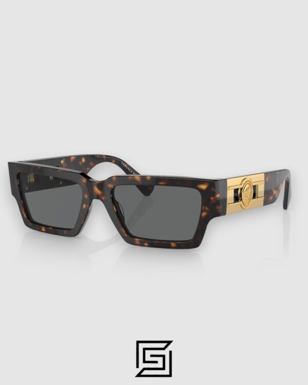 Versace VE4459 Tiger Frame